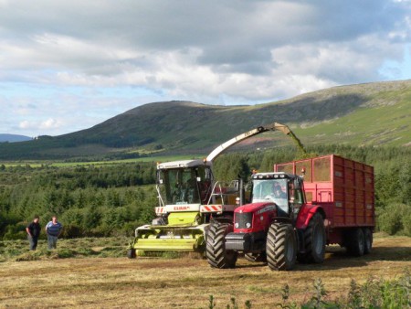 Harvesting Time,Ballycrinnigan,Co. Carlow